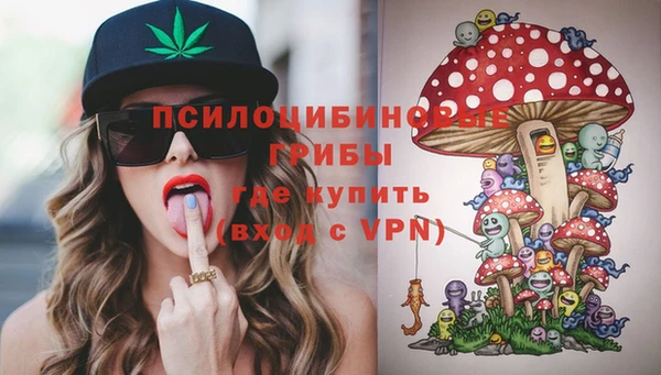 ешки Алзамай