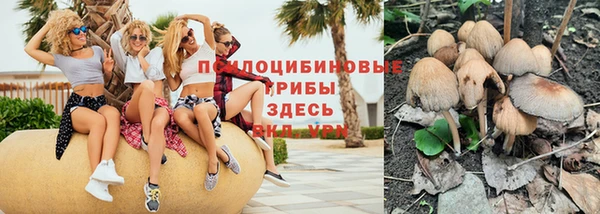 соль курить ск Алексеевка
