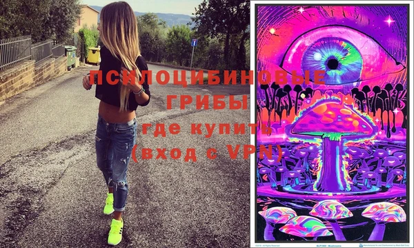 ешки Алзамай