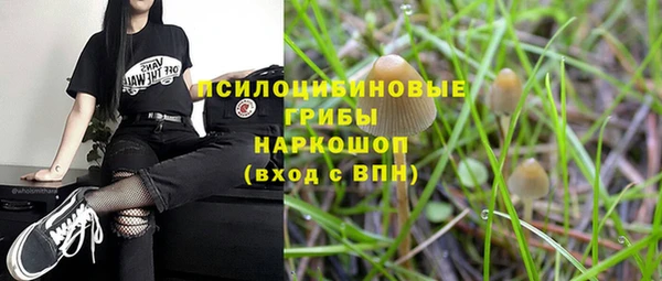 соль курить ск Алексеевка