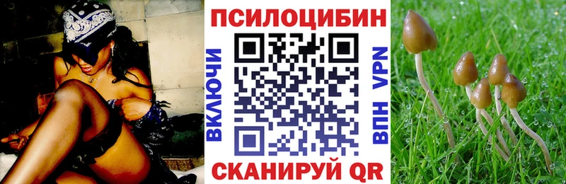 Псилоцибиновые грибы Psilocybine cubensis Владивосток